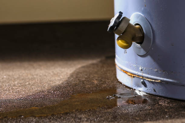 Best Water damage restoration services  in Hope, IN