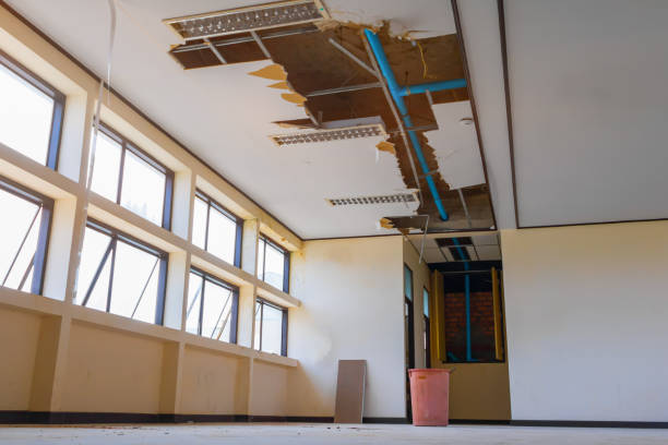 Best Water damage mitigation services  in Hope, IN