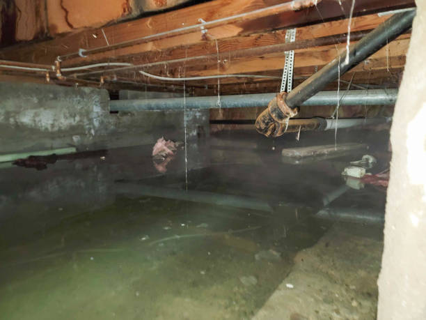 Best Fire Damage Restoration  in Hope, IN