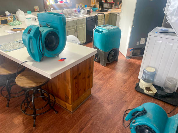Best Basement water damage restoration  in Hope, IN