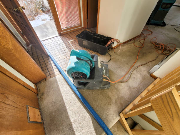 Best Emergency water damage restoration  in Hope, IN