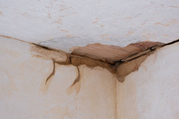 Best 24-hour water damage restoration  in Hope, IN