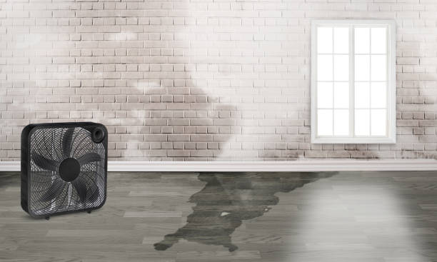 Best Residential water damage restoration  in Hope, IN
