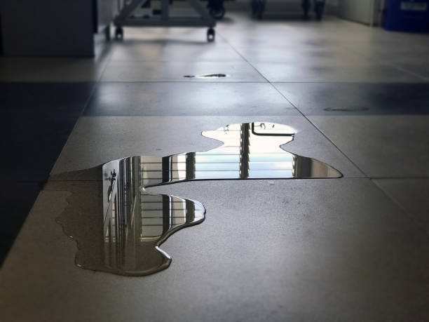 Best Professional water damage repair  in Hope, IN