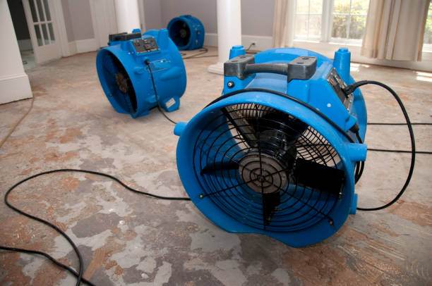 Best 24/7 water damage repair  in Hope, IN