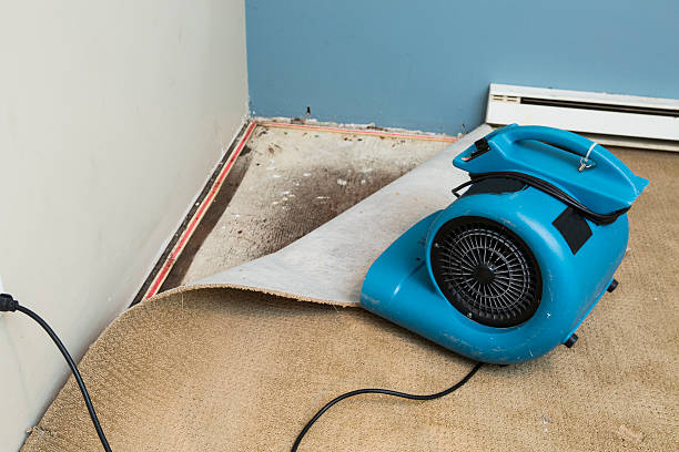 Sewage cleanup and water damage restoration in Hope, IN
